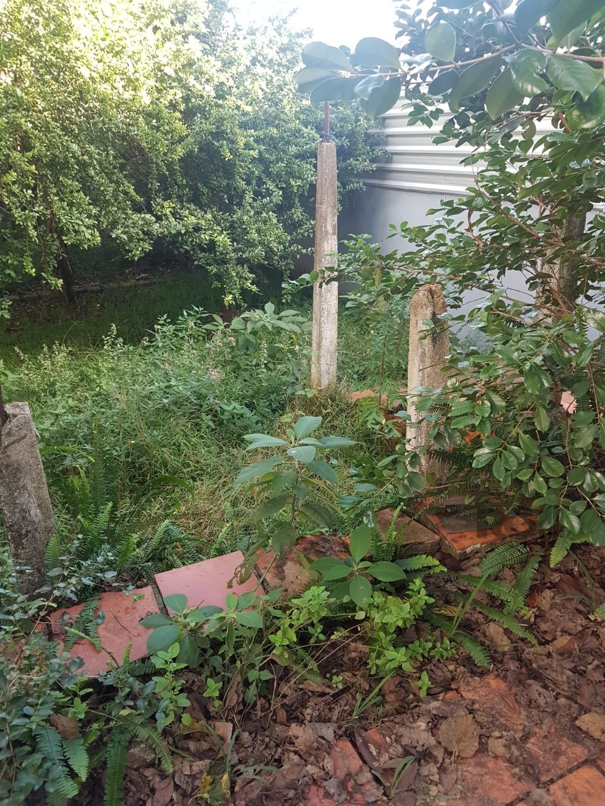 Loja-Salão à venda, 253m² - Foto 34