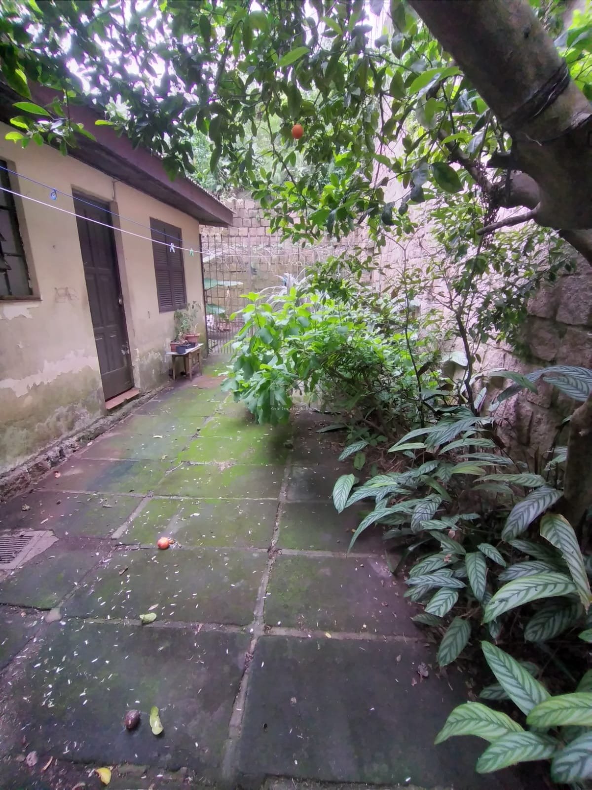 Casa, 3 quartos, 85 m² - Foto 1