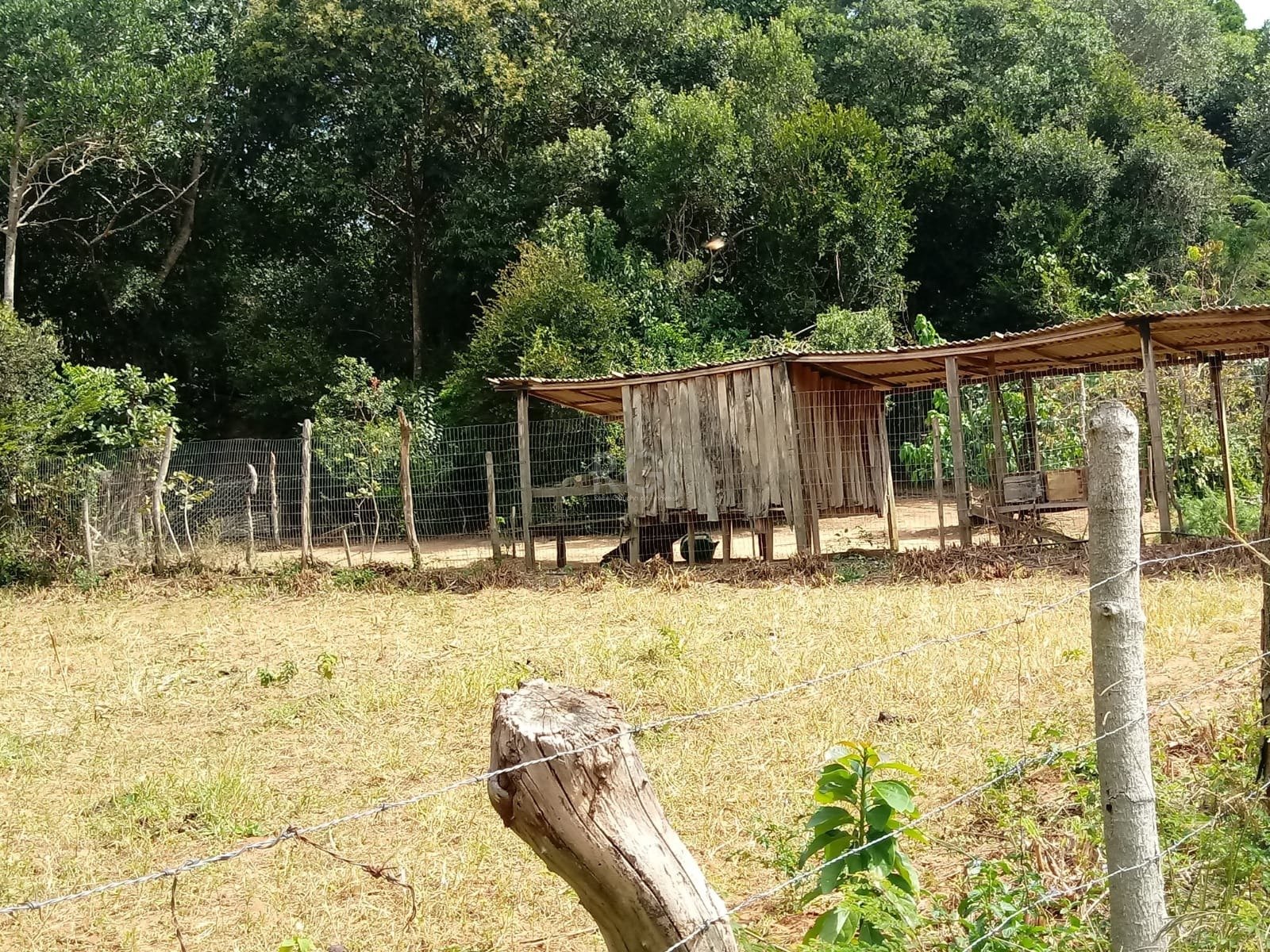 Sítio à venda com 2 quartos, 1799m² - Foto 27
