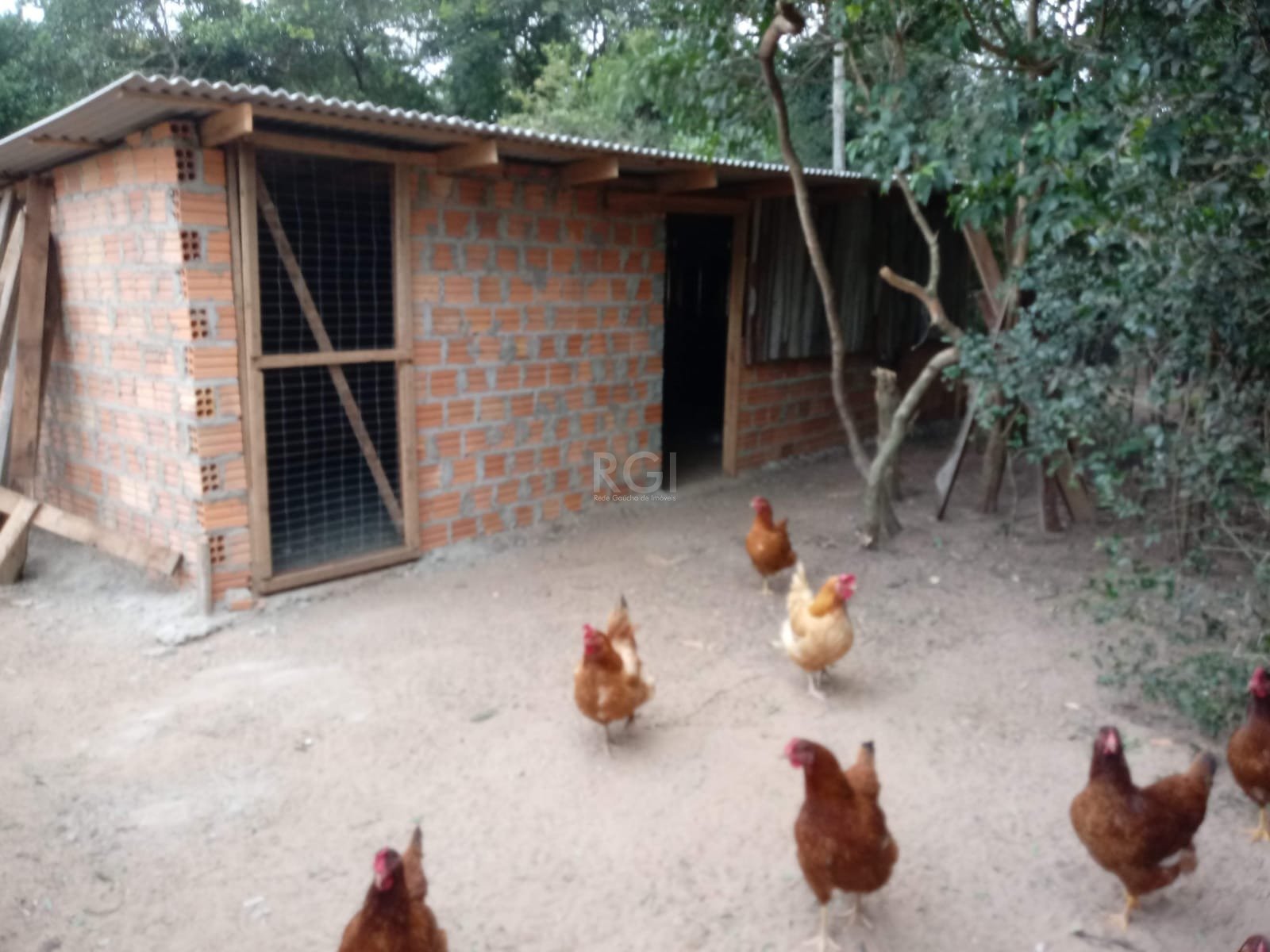 Sítio à venda com 2 quartos, 1799m² - Foto 32
